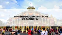 22年最新 Wdwホテル辞典 直営とパートナーホテル比較 特典 目的別おすすめホテル ふたり旅行記 Wdwとユニバーサルオーランドの楽しみ方をご紹介