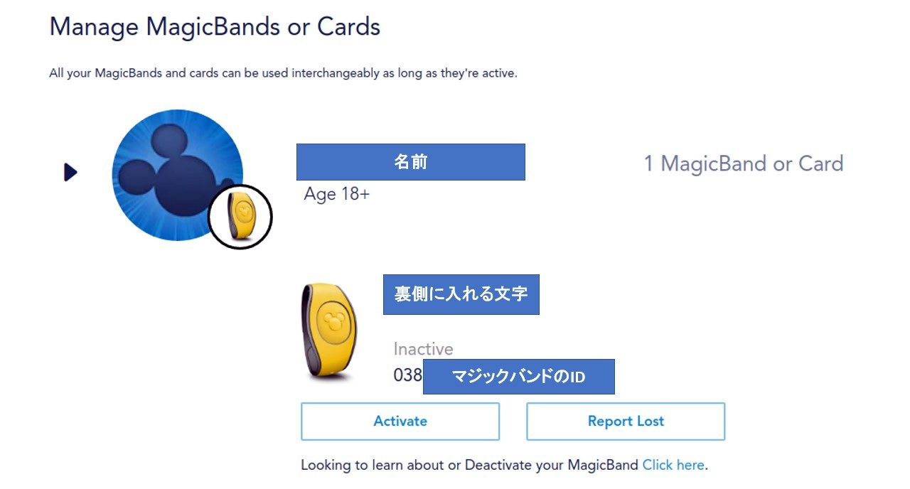 マジックバンドの設定ページ