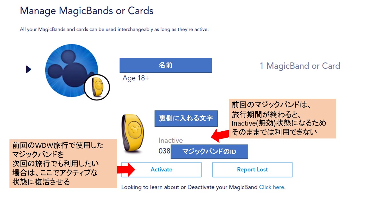 すでにマジックバンドを持っている人の設定